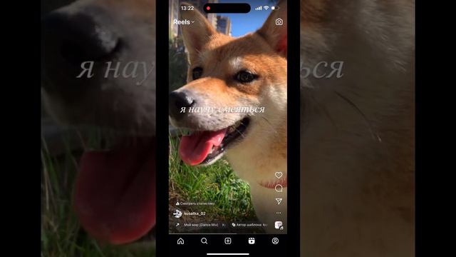 Мой мир🌎 #shibainu #сиба #рекомендации #мирвовсеммире #собакадругчеловека смотреть онлайн