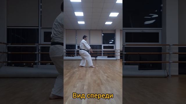 Пинан соно ни (2 - й пинан) БРС «Богатырь» (сенсей Евгений) смотреть онлайн