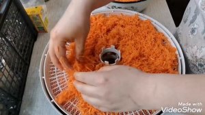Сушеная морковь. Хранение моркови с сохранением 95% витамин. EZIDRI FD500. Сушилка. Заготовки.