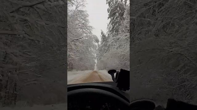 Брянск Навля смотреть онлайн