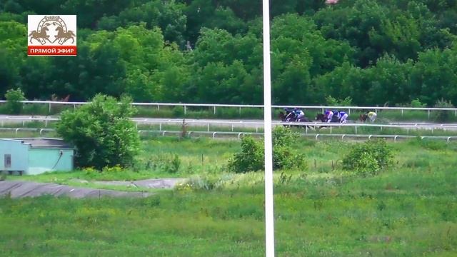 11.06.2023 - Ограничительный приз на лошадях 3-х лет чистокровной верховой породы - Конан Варвар