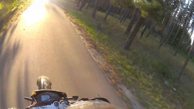 GEON Dakar 250(off road/forest)4K смотреть онлайн