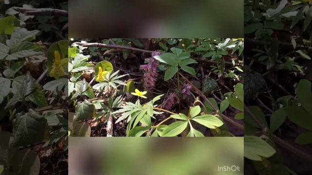Весенние экскурсии. Часть 4. смотреть онлайн