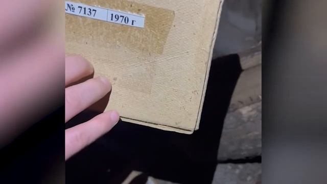 Полиция Жамбылской области изымает оружие, похищенное во время январских беспорядков смотреть онлайн