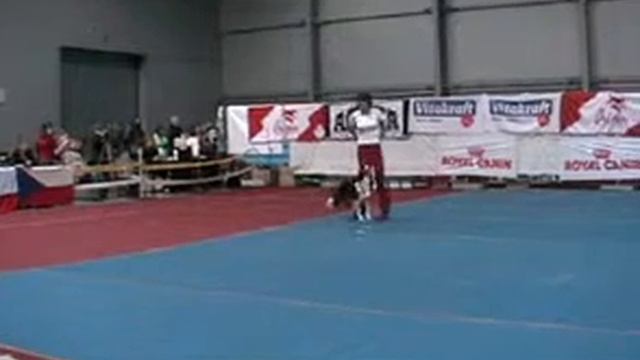 Rosie MCR Dogdancing 2009