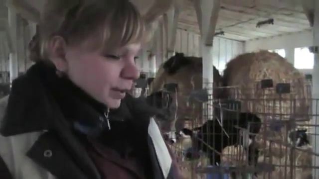 TorfoGen 23 Гуминовые вещества для животных и птиц смотреть онлайн