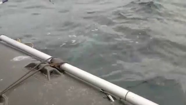 Электрокатушка WFT 1200 PR HP в работе