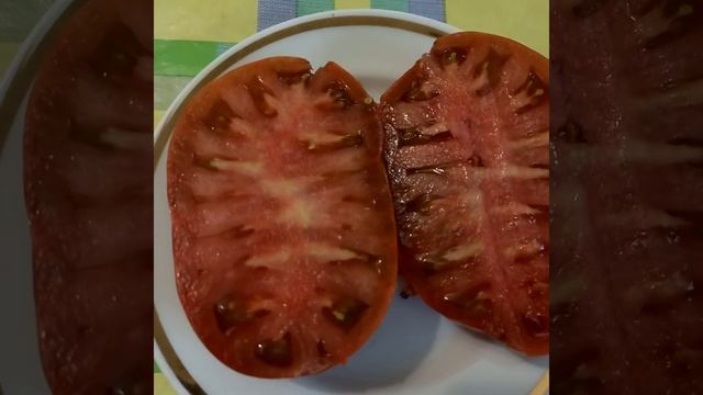 Томат серии Гном КОРИЧНЕВЫЙ КАРЛИК в разрезе. Коллекционный сорт. Ярославская обл. смотреть онлайн