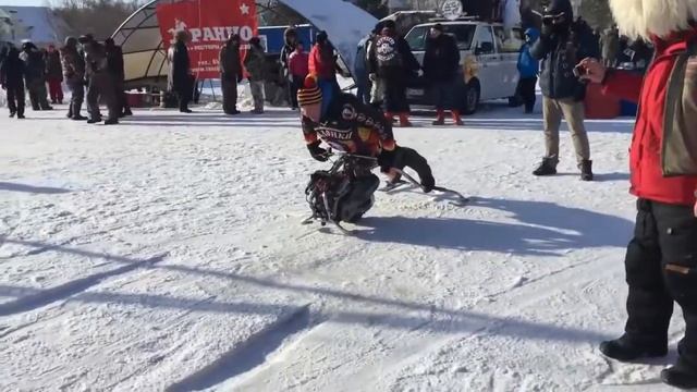 Сноу догс 2018 смотреть онлайн