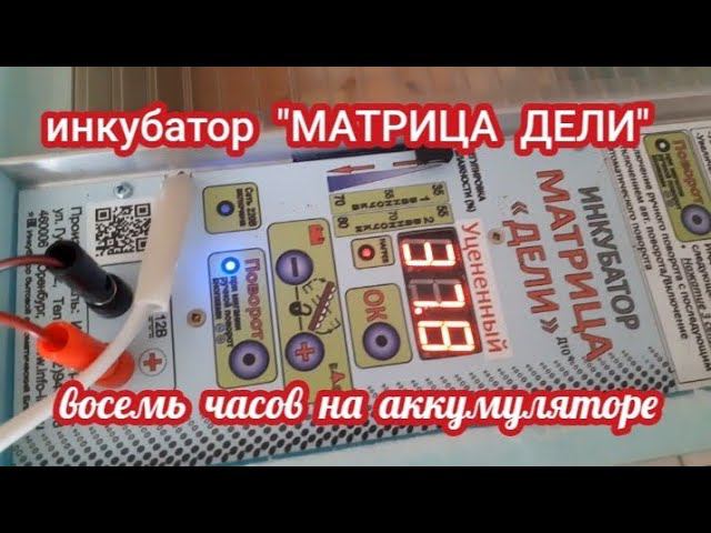 инкубация... инкубатор восемь часов отработал на аккумуляторе без проблем.... смотреть онлайн