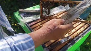 маточники запечатали,достаёмСоединяем стартёр с маткой