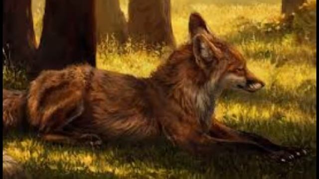 Любовь волка и лисы? смотреть онлайн