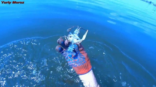 Подводная охота на раков. Ловля раков под водой смотреть онлайн