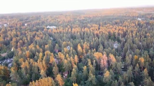 11 Закат над домом 13 07 22 смотреть онлайн