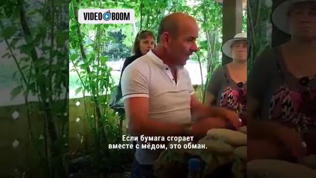 Как проверить мёд 🍯 смотреть онлайн