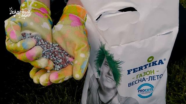 Лечим лысины на газоне. Что делать, если на садовом газоне появились проплешины смотреть онлайн