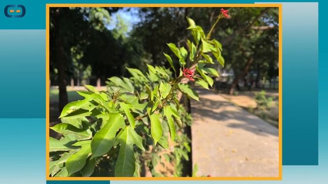 @21,999 - SASTE ME “FLAGSHIP FEATURES” Mid-Range Killer | Redmi Note 13 Pro Plus Quick Review? смотреть онлайн