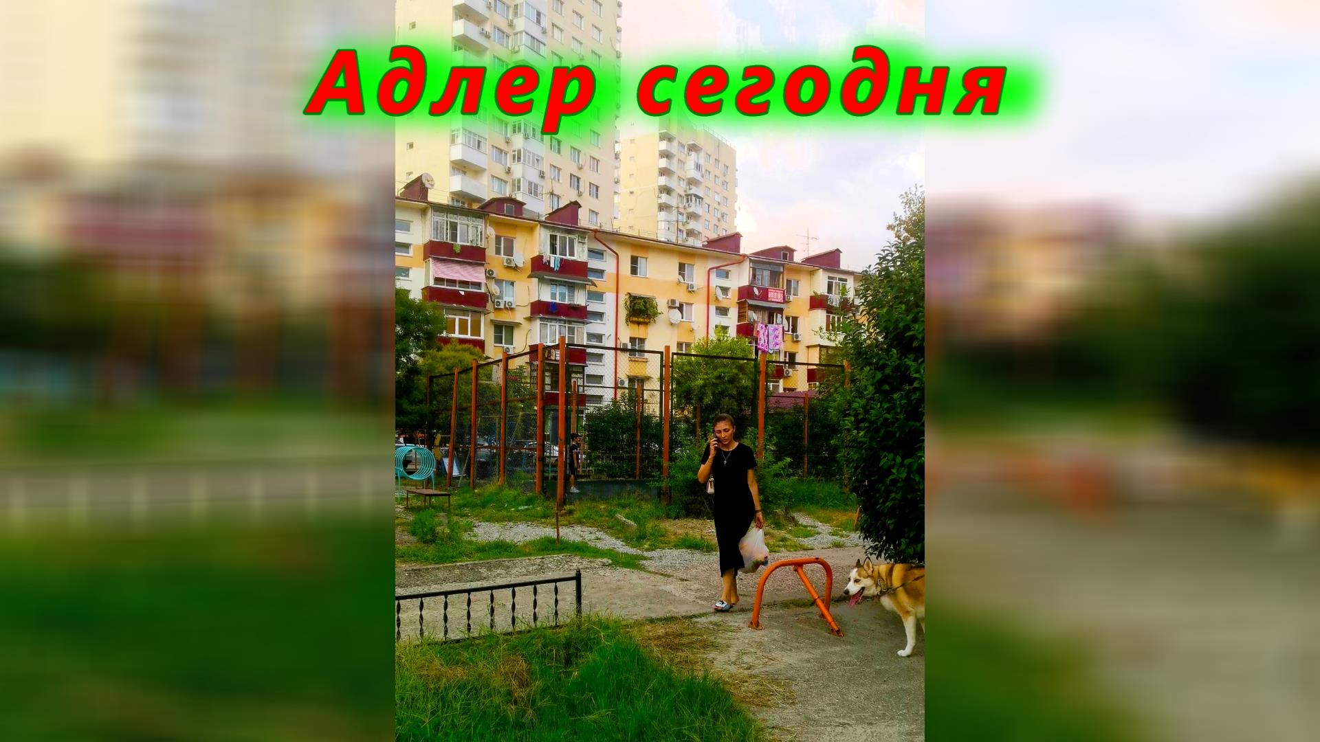 Осенний день в Адлере сегодня смотреть онлайн