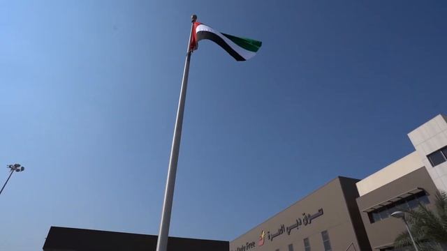 Dubai Duty Free celebrates UAE Flag Day смотреть онлайн