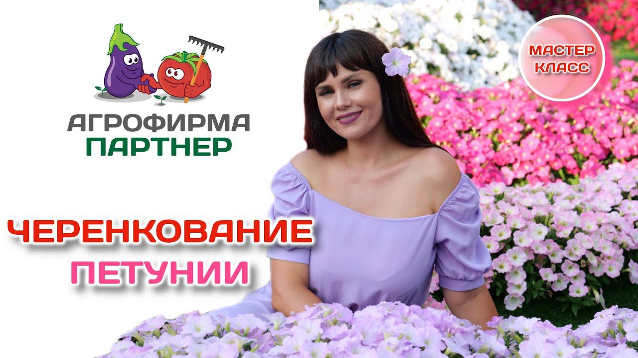 Черенкование петунии | Мастер - класс Марины Патриной | #петуния #цветывсаду #зацветёт