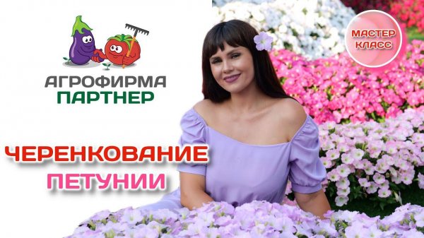 Черенкование петунии | Мастер - класс Марины Патриной | #петуния #цветывсаду #зацветёт