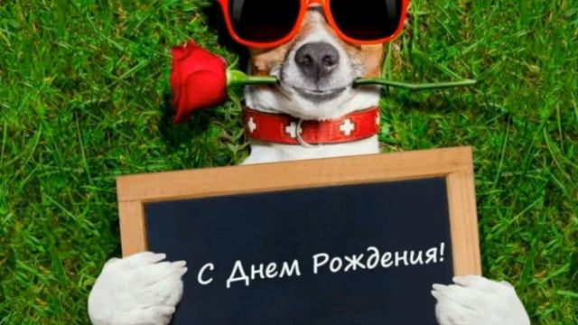 С Днём рождения! смотреть онлайн