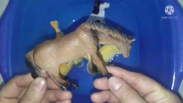 Учим животных на английском/ кошка/ корова/ гусь/ морж/ смотреть онлайн
