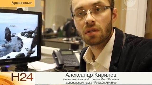 Лемминги в Арктике смотреть онлайн