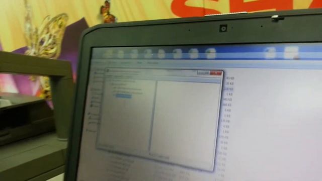 Firmware Upgrade Process