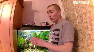 Оборудование для аквариума! Аквариум для начинающих! [#Оборудование для аквариума]