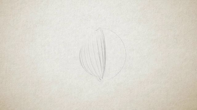 Pencil Sketch - Logo Reveal (After Effects template) смотреть онлайн