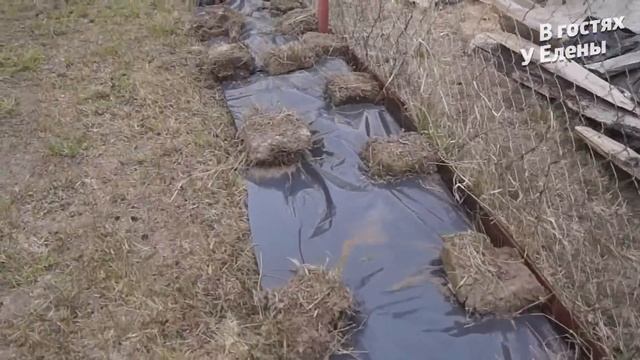 СОХРАНИЛАСЬ ЛИ РАССАДА В МОРОЗЫ. ВЫСКАЗАЛАСЬ. НАКИПЕЛО. смотреть онлайн