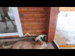 Прямой эфир.  27 марта