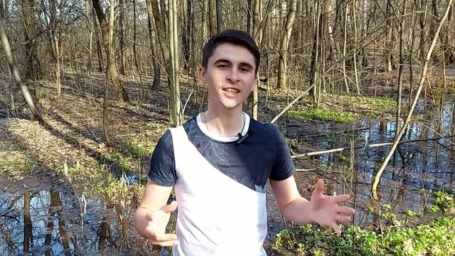 Ф.Тютчев "Зима недаром злится" смотреть онлайн