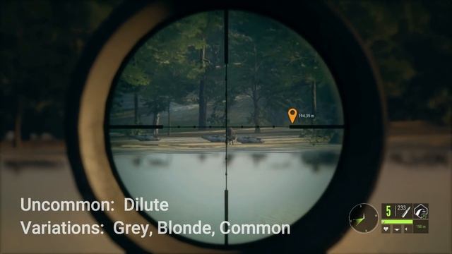 Rancho Del Arroyo SUPER GUIDE - Whitetail, Mule Deer, Bighorn & Coyotes - Call of the Wild смотреть онлайн