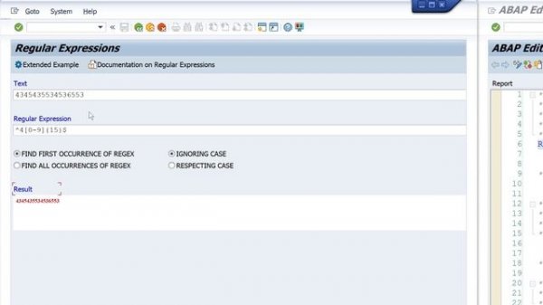 REGEX in ABAP - Regular Expressions with Examples [english]