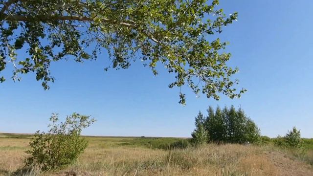 Вело поход по новым местам. Река Ишим смотреть онлайн