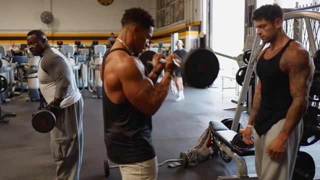 CRAZY ARM WORKOUT WITH MILITARY VETERAN AT VENICE смотреть онлайн