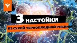 рДЖ 76: Три настойки из сухой черноплодной рябины. Вкусно, густо, чуть терпко и в меру сладко