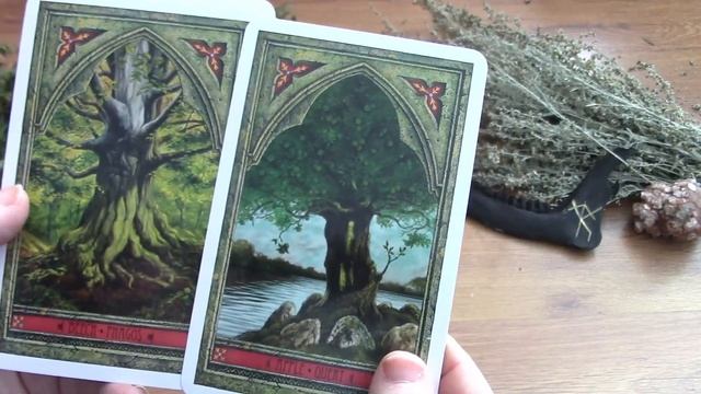 483. 2022 Oracle Deck Collection (I didn't miss any this time!) смотреть онлайн