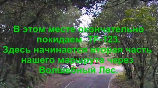 Тенерифе_ Волшебный лес смотреть онлайн