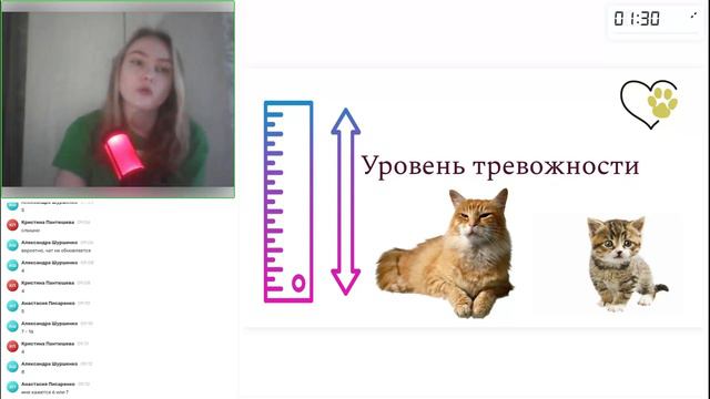 Русский язык 11 класс урок1. ОУ 13.09.2024