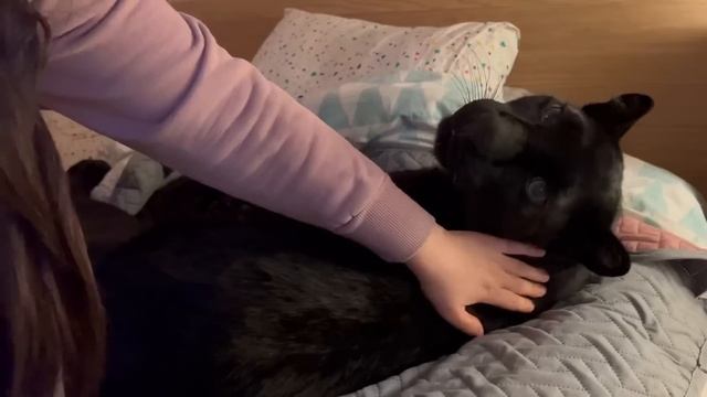 A Gift Was Stolen From A Panther Luna ??