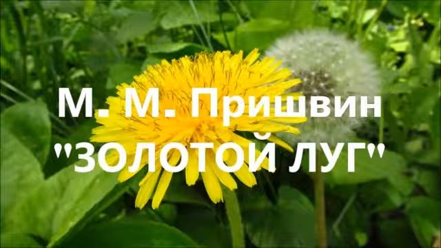 М. М. Пришвин "Золотой луг" смотреть онлайн