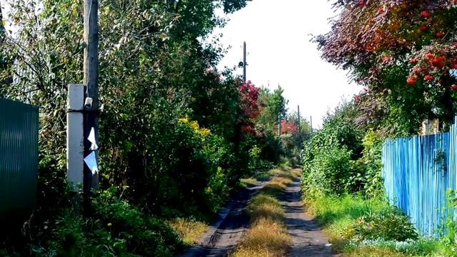 У берёз и сосен тихо бродит осень... смотреть онлайн