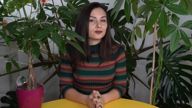 STOP killing your MONEY TREE | Money Tree Problems смотреть онлайн