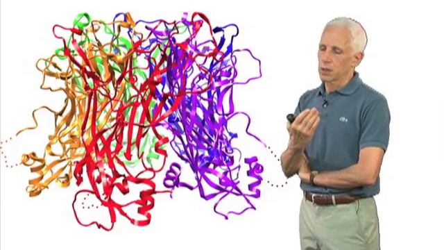 Stephen Harrison (Harvard) Part 1: Virus structures: General principles смотреть онлайн