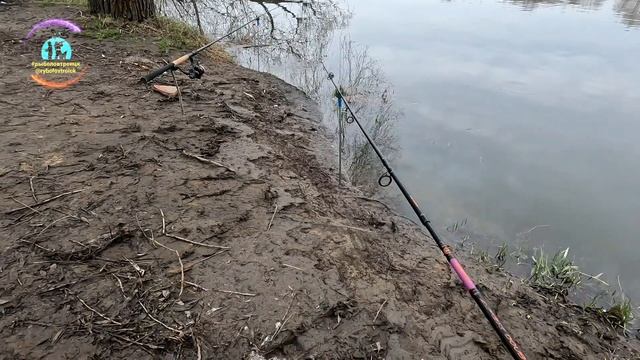 Рыбалка на пасху р.Москва г.Бронницы смотреть онлайн