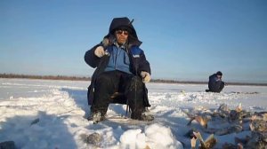 Зимняя рыбалка на балансир в Якутии
