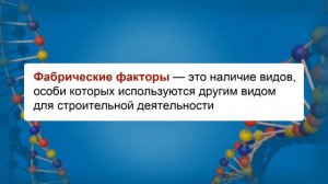 Биотические факторы. Видеоурок по биологии 11 класс